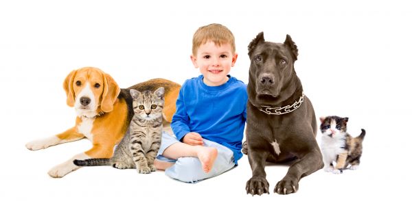 Joplin Pets