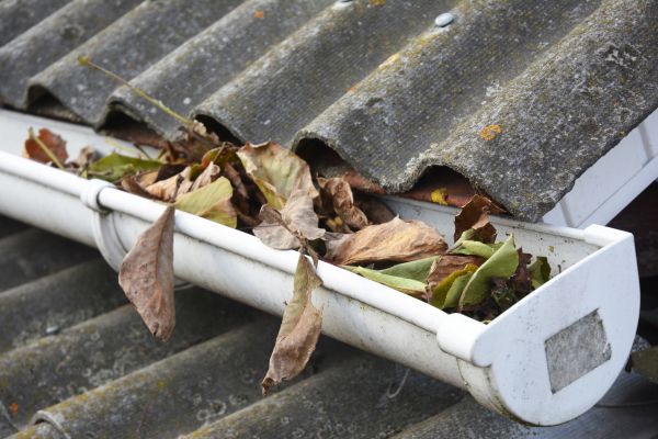 Joplin Gutter Cleaning